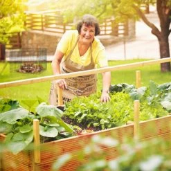 Relaxdays Composteur Métallique, Jeu De 3, Bio Jardin, Bac Compostage Pour Des Feuilles Mortes, 560 Litres, Vert Foncé 7 Relaxdays Composteur Métallique, Jeu De 3, Bio Jardin, Bac Compostage Pour Des Feuilles Mortes, 560 Litres, Vert Foncé -Compostage Soldes 25044540 3