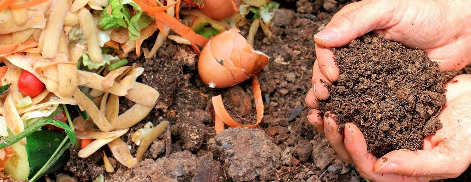 Compostage Soldes -Compostage Soldes 3