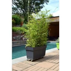 Louis Moulin Roule-plantes ALU Spécial Bac - 70x30 Cm - Aluminium -Compostage Soldes 61063670 3