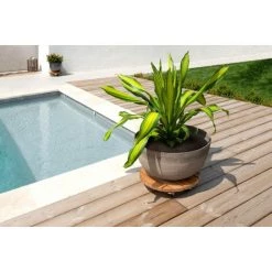 Louis Moulin Roule Plante BOIS Rond Naturel - 45 Cm - Bois -Compostage Soldes 61063675 3