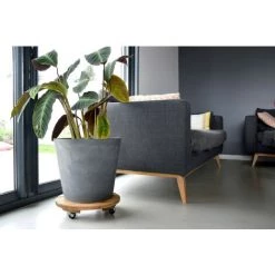 Louis Moulin Roule Plante BOIS Rond Naturel - 37,5 Cm - Bois -Compostage Soldes 61063810 3