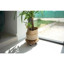 Louis Moulin Roule Plante BOIS Rond Naturel - 30 Cm - Bois -Compostage Soldes 61063923 4